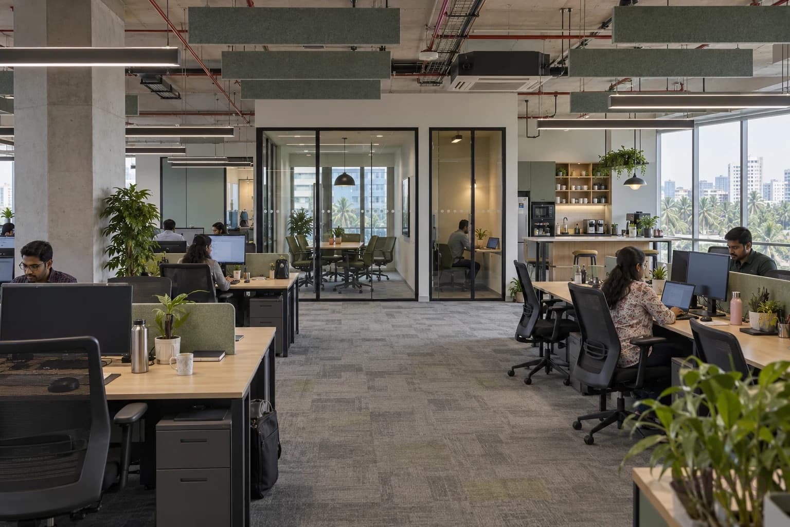 Technology team working at oak desks beside shaded windows, with acoustic ceiling baffles, planted dividers and a glass meeting room
