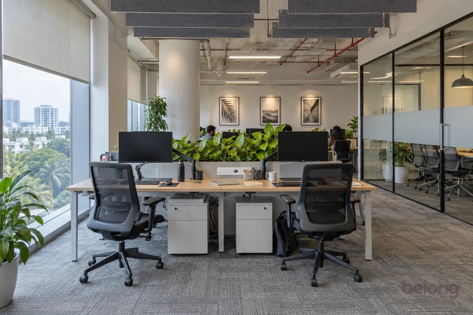 A desk cluster with monitor arms and adjustable chairs, a planter screen, carpet tiles, felt baffles above, windows on the left and a glass meeting room on the right.
