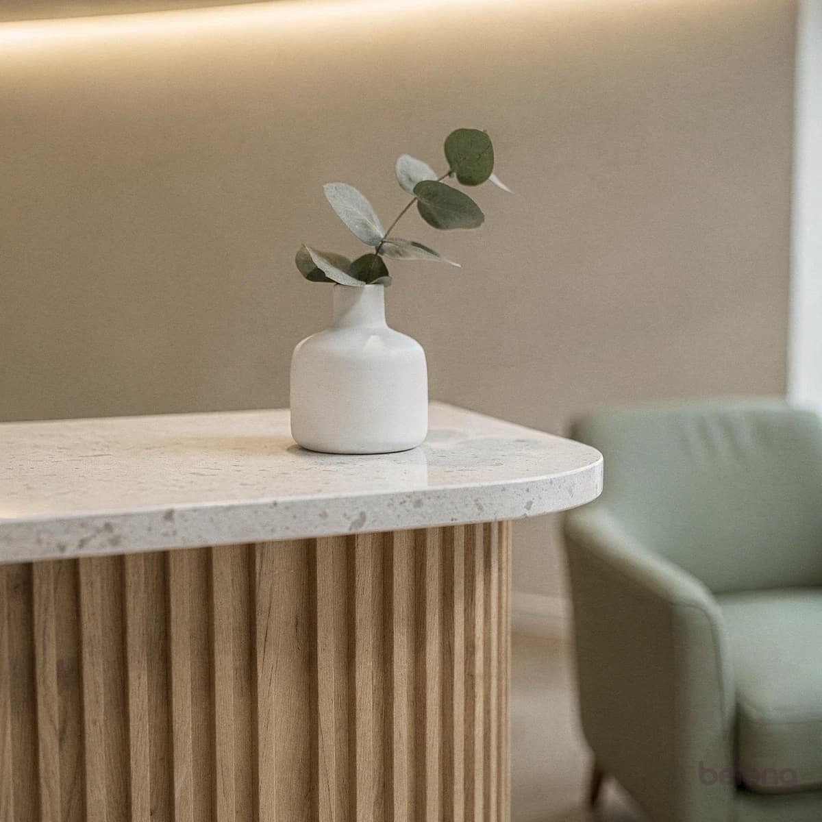 The rounded corner of a fluted oak reception desk with a eucalyptus stem